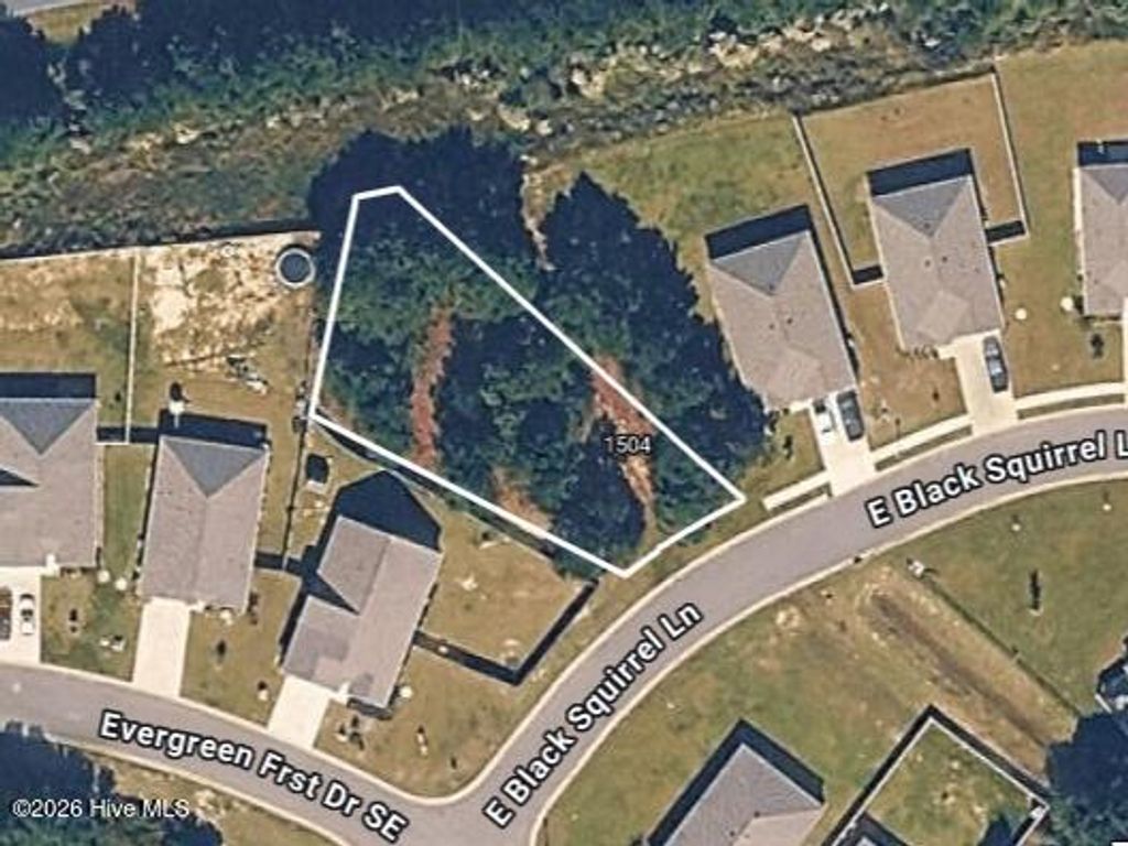 Photo of 1504 E Black Squirrel Lane, Bolivia, NC (MLS # 100573033)