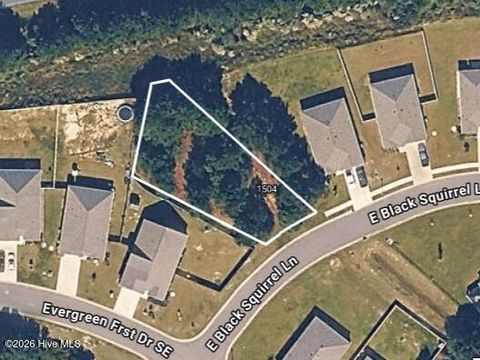 Vacant Land For Sale - 1504 E Black Squirrel Lane<br/> Bolivia, NC 28422