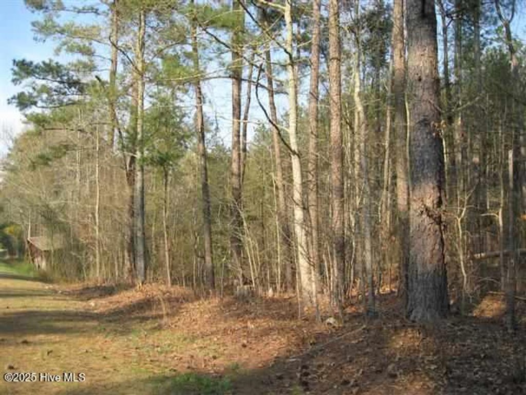 Photo of 610 Gilchrist Road, Carthage, NC 28327 (MLS # 100545394)