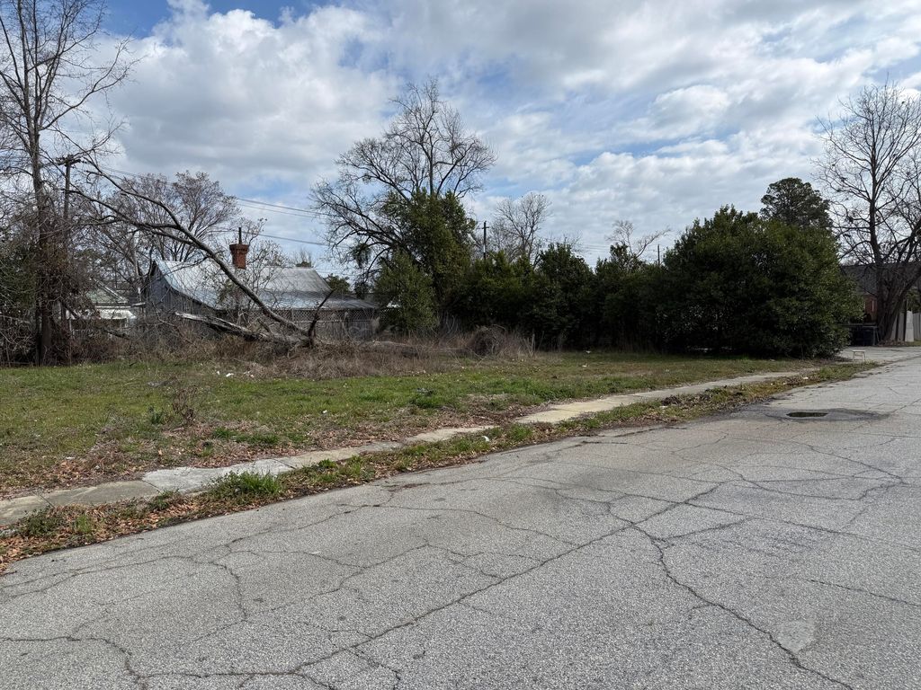 Photo of 1847 Telfair Street, Augusta, GA 30904 (MLS # 552474)