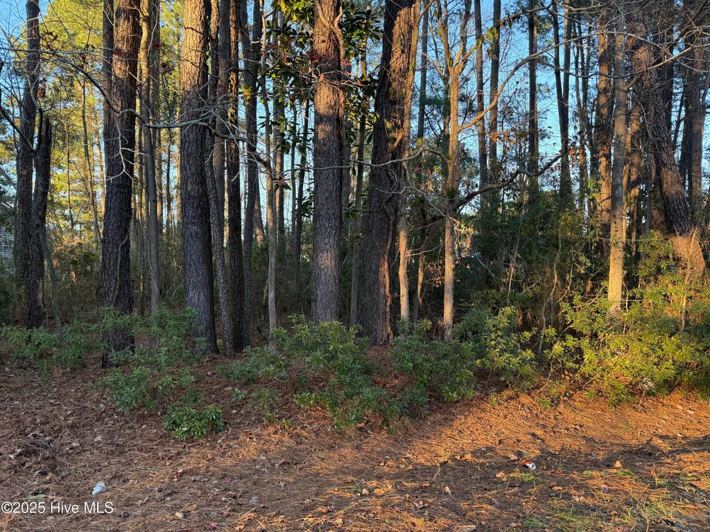 Photo of 107 Starboard Drive, New Bern, NC 28562 (MLS # 100546207)