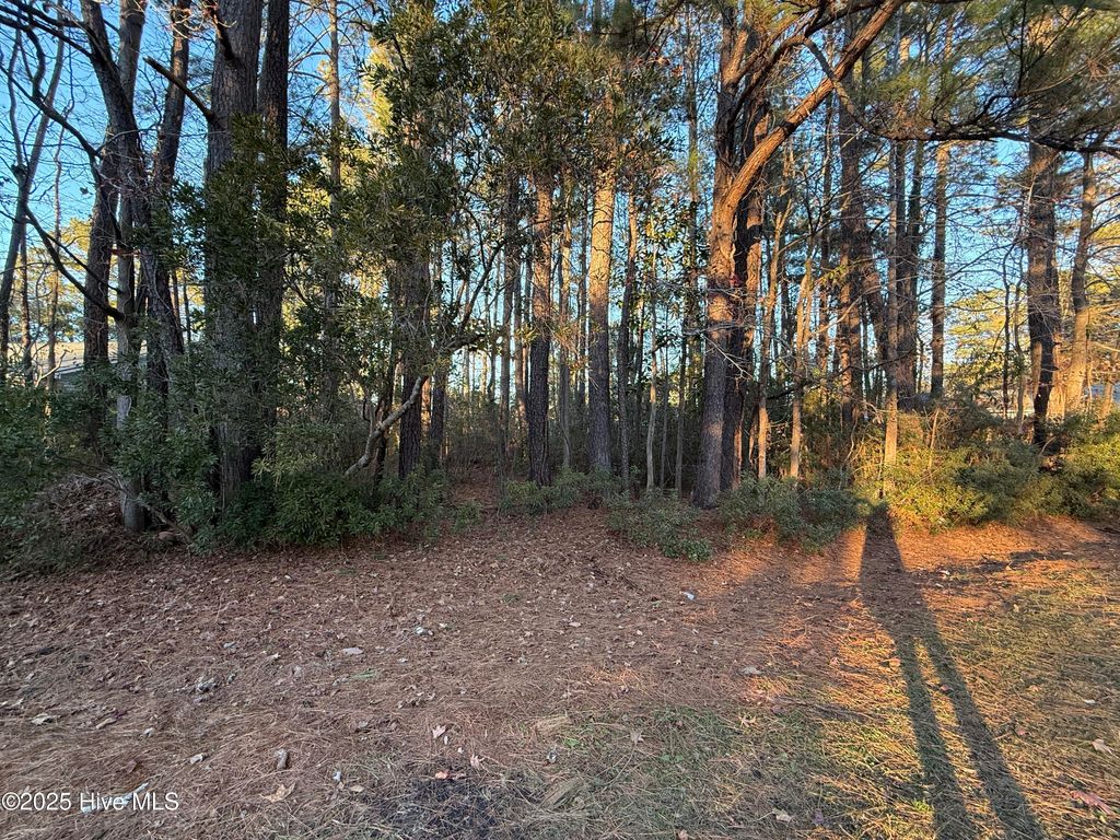 Photo of 107 Starboard Drive, New Bern, NC 28562 (MLS # 100546207)