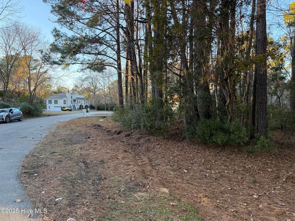 Photo of 107 Starboard Drive, New Bern, NC 28562 (MLS # 100546207)