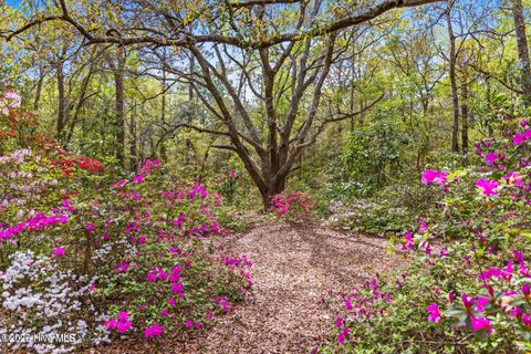 Tiny photo for 2758 Worth Drive, Wilmington, NC 28412 (MLS # 100548407)