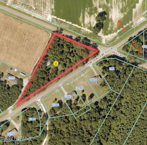 Vacant Land For Sale - Pineview Cemetery Road<br/> Seven Springs, NC 28578
