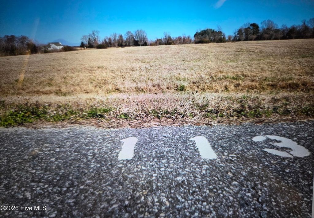 Photo of 113 Sandpiper Drive, Hertford, NC 27944 (MLS # 100549768)