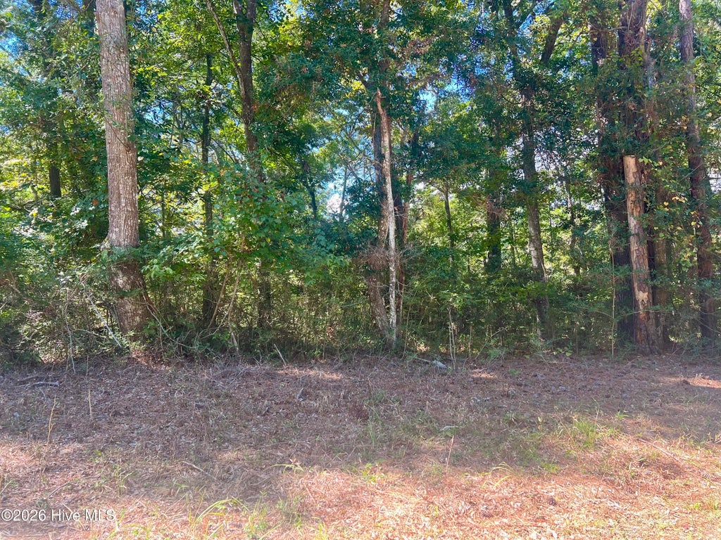 Photo of 631 Sea Hawk Drive SW, Sunset Beach, NC 28468 (MLS # 100607563)