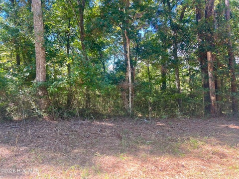 Tiny photo for 631 Sea Hawk Drive SW, Sunset Beach, NC 28468 (MLS # 100607563)
