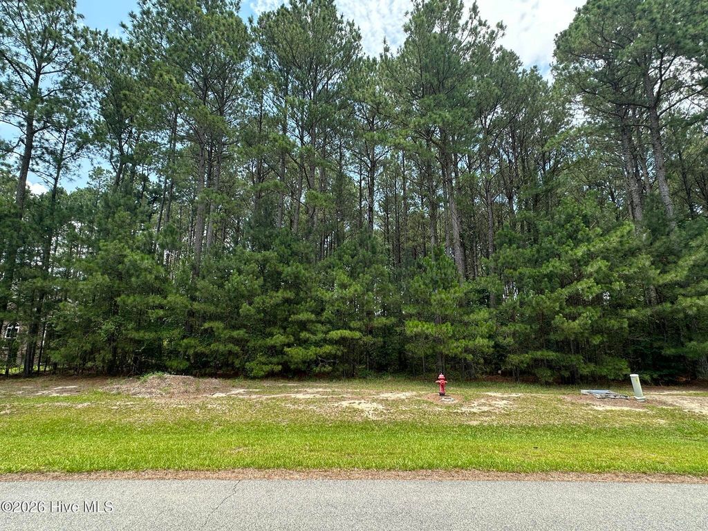 Photo of 437 Riversound Drive, Edenton, NC 27932 (MLS # 100587024)