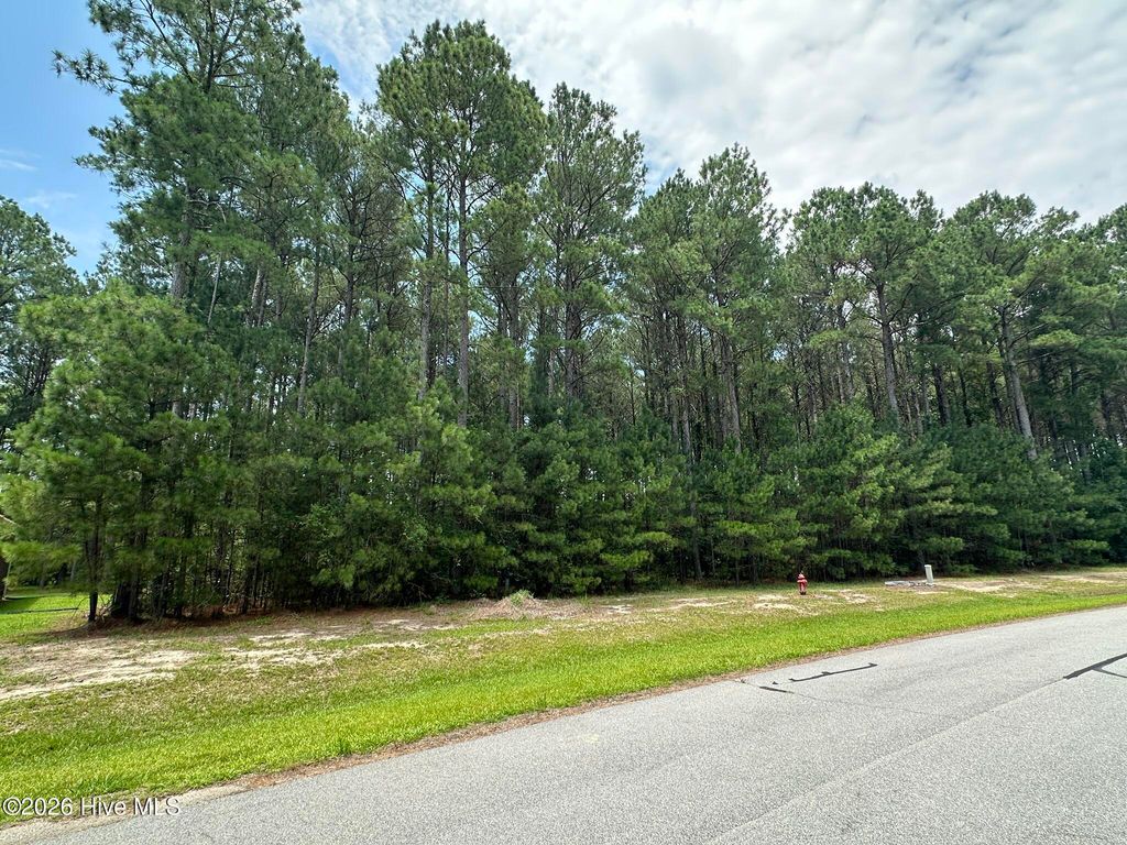 Photo of 437 Riversound Drive, Edenton, NC 27932 (MLS # 100587024)