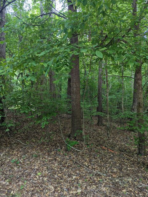 Vacant Land For Sale - R-25 Independent Hill Lane<br/> Edgefield County, North Augusta, SC 29860