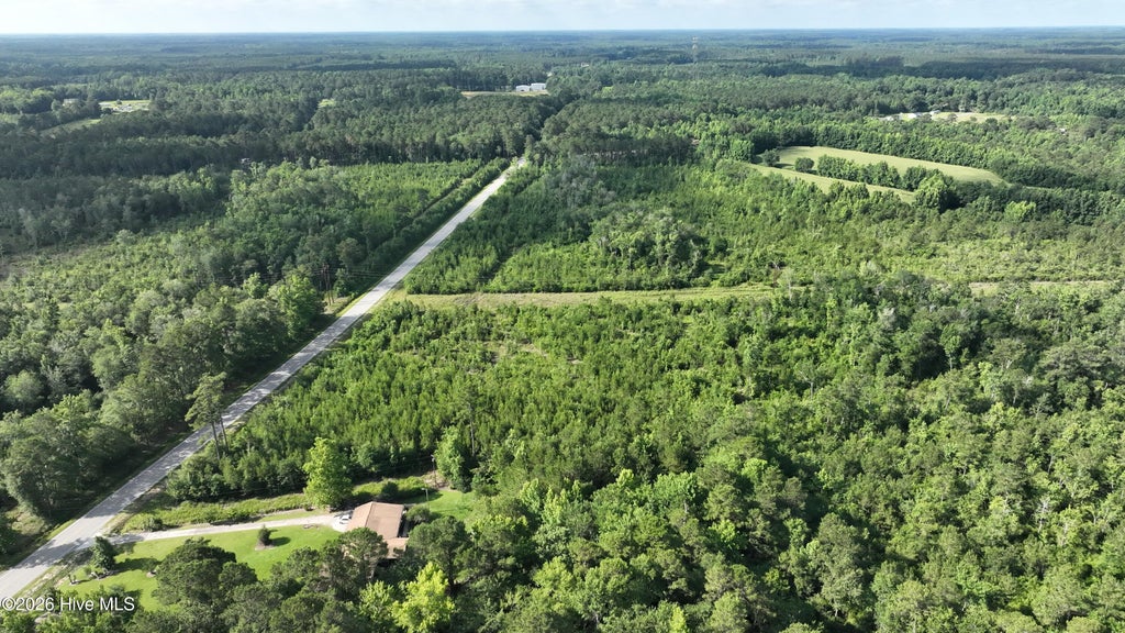 Photo of 00 General Howe Highway, Riegelwood, NC 28456 (MLS # 100584685)