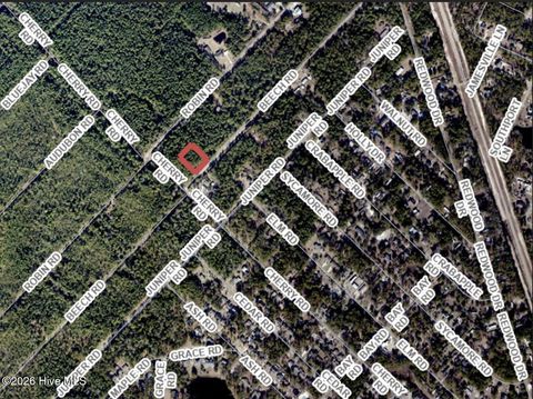 Tiny photo for 73 Beech Road, Boiling Spring Lakes, NC 28461 (MLS # 100547376)