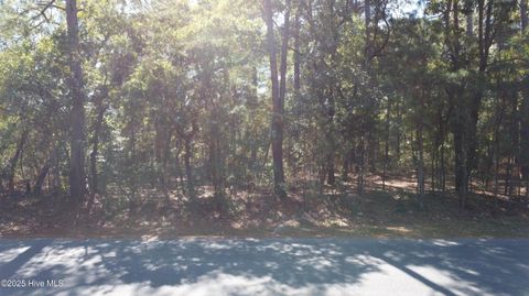 Vacant Land For Sale - LOT 47 Ward Drive<br/> Dudley, NC 28333