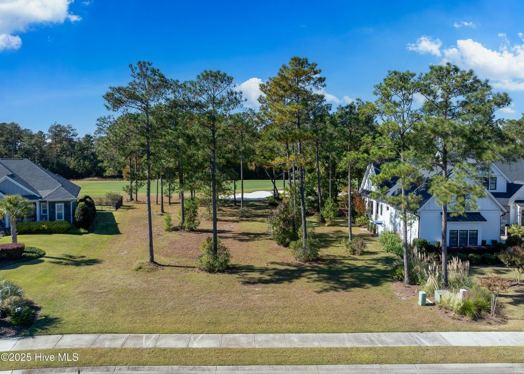 Photo of 2016 Chartwell Court, Leland, NC 28451 (MLS # 100539491)