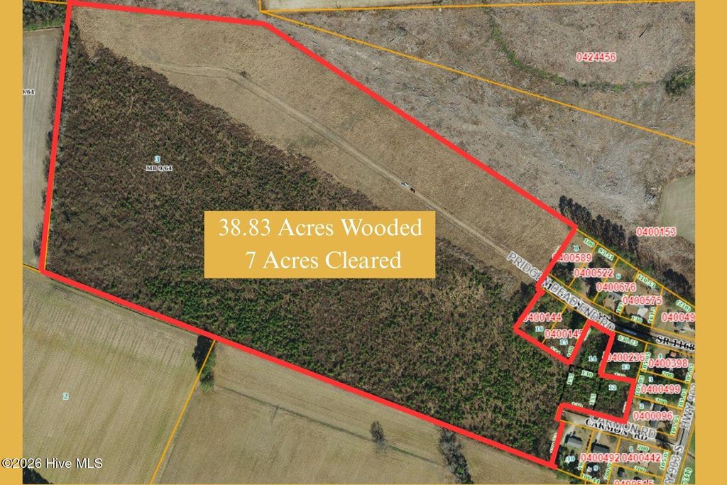 Photo of Tbd Pridgen Dead End Road, La Grange, NC 28551 (MLS # 100574865)