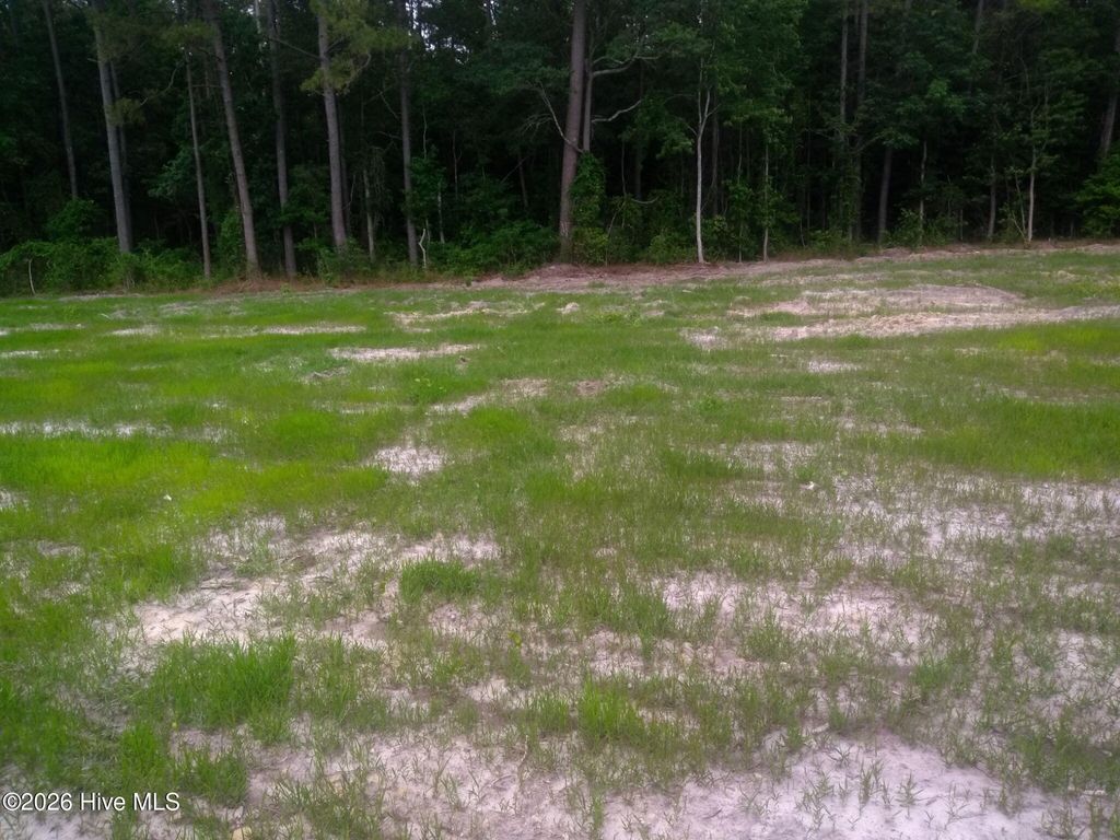 Photo of Tbd Pridgen Dead End Road, La Grange, NC 28551 (MLS # 100574865)