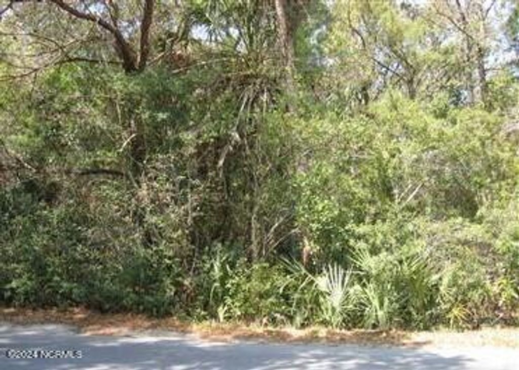 Photo of 209 Muscadine Wynd, Bald Head Island, NC 28461 (MLS # 100545732)