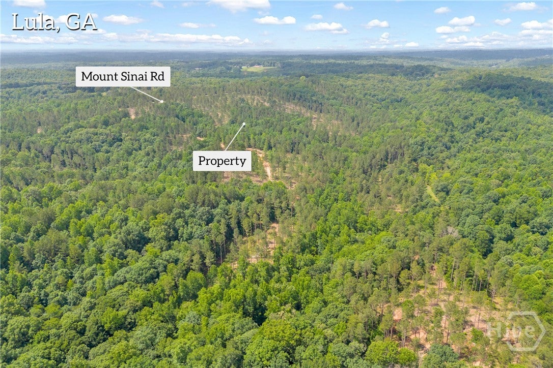 0 Mt. Sinai lot 8