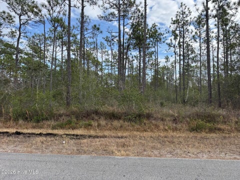 Tiny photo for 22 Pepperhill Road, Southport, NC 28461 (MLS # 100612823)