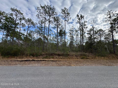 Photo of 22 Pepperhill Road, Southport, NC 28461 (MLS # 100612823)