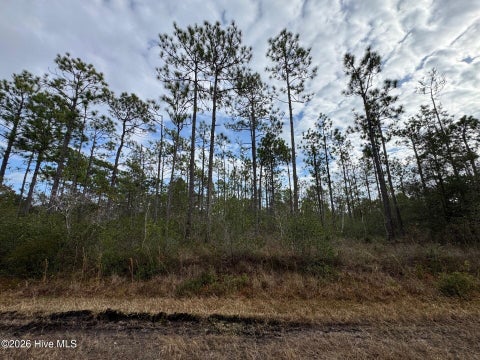 Tiny photo for 22 Pepperhill Road, Southport, NC 28461 (MLS # 100612823)