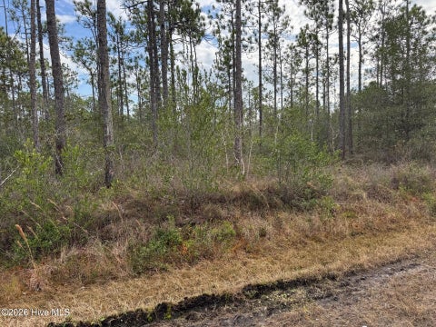 Tiny photo for 22 Pepperhill Road, Southport, NC 28461 (MLS # 100612823)