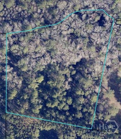 Vacant Land For Sale - Honey Dew Ln Lane<br/> Bulloch County, Brooklet, GA 30415