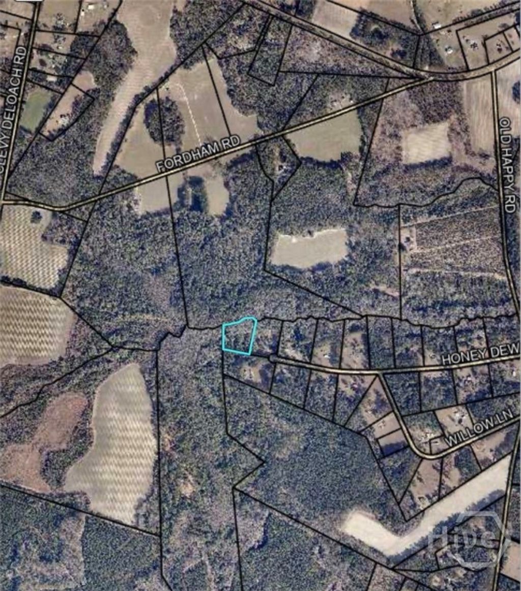 Photo of 0 Honey Dew Ln Lane, Brooklet, GA 30415 (MLS # SA359442)