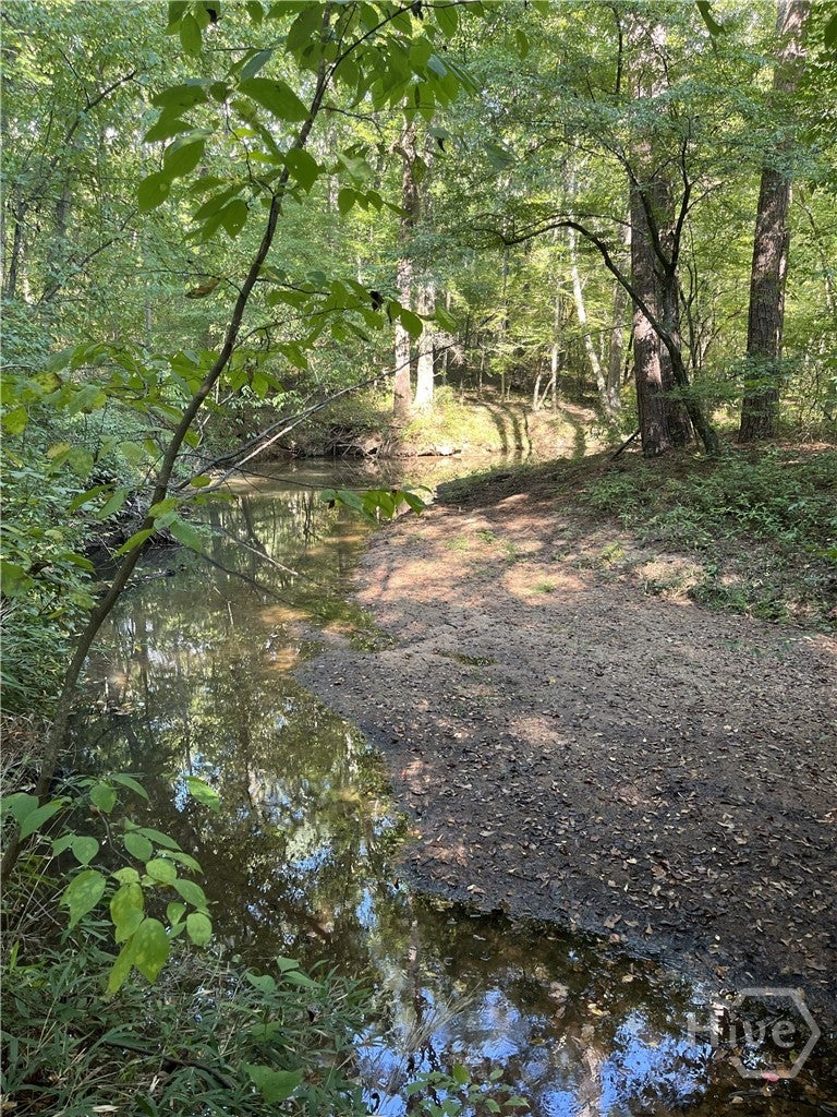 46 Creek Ridge