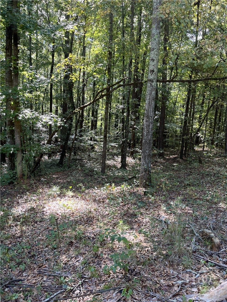 46 Creek Ridge