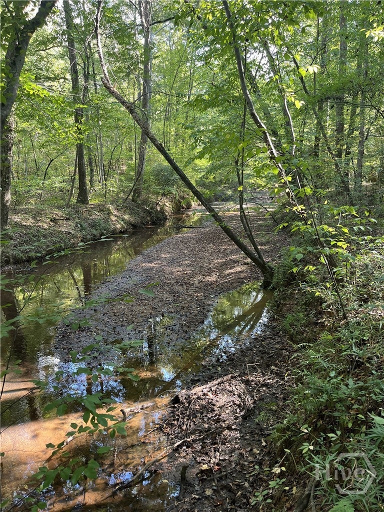 46 Creek Ridge