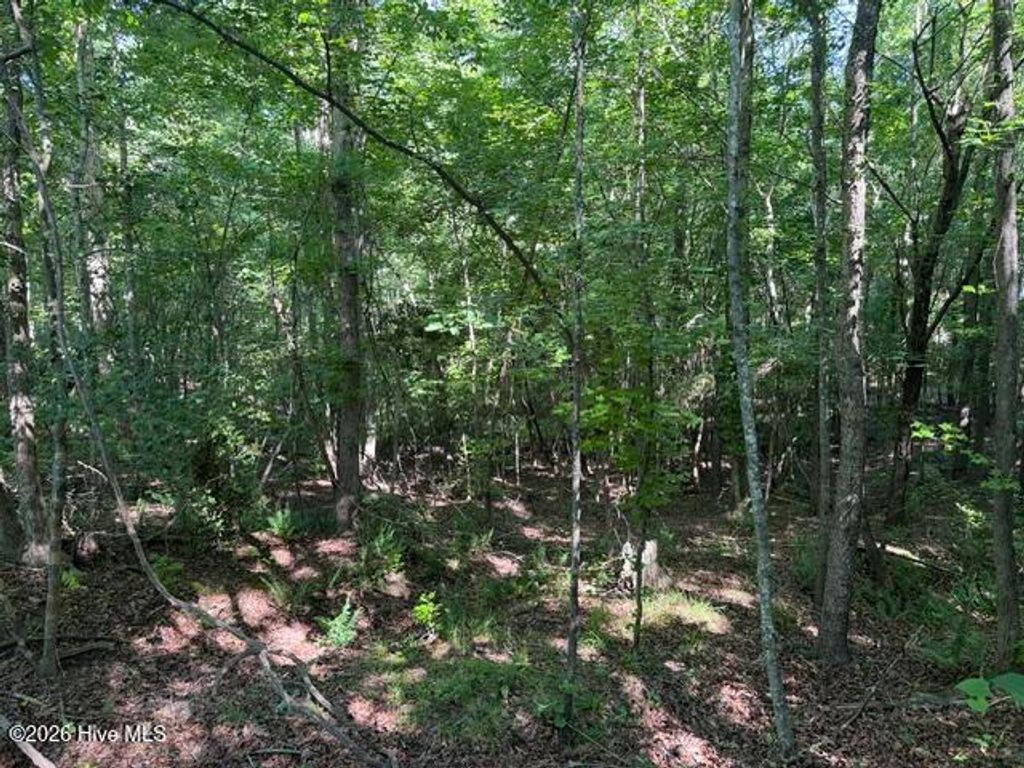 Photo of 0 Wildwood Lane, Thomson, GA 30824 (MLS # 100579766)