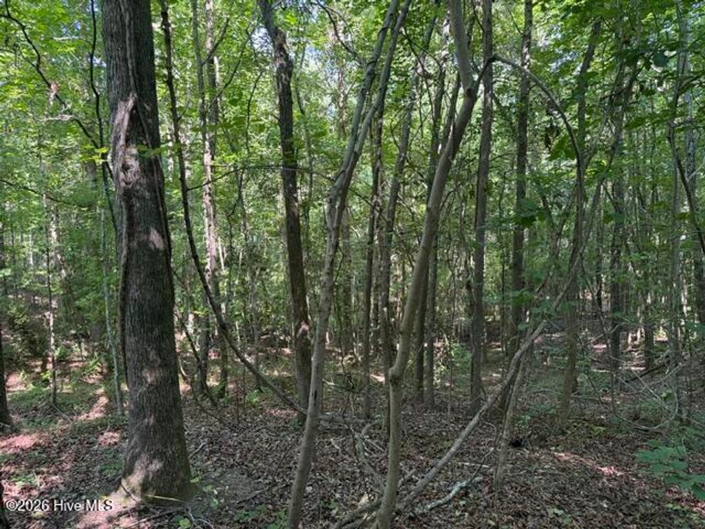 Photo of 0 Wildwood Lane, Thomson, GA 30824 (MLS # 100579766)
