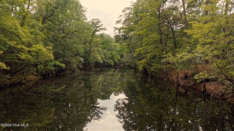 Tiny photo for 33 Shelter Creek Drive, Burgaw, NC 28425 (MLS # 100604530)