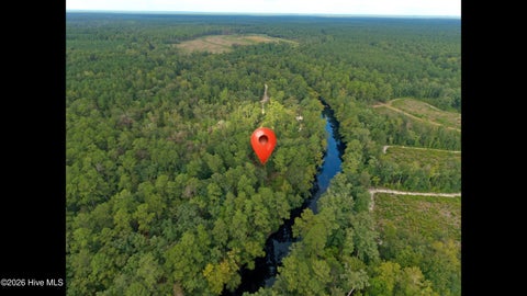 Tiny photo for 33 Shelter Creek Drive, Burgaw, NC 28425 (MLS # 100604530)