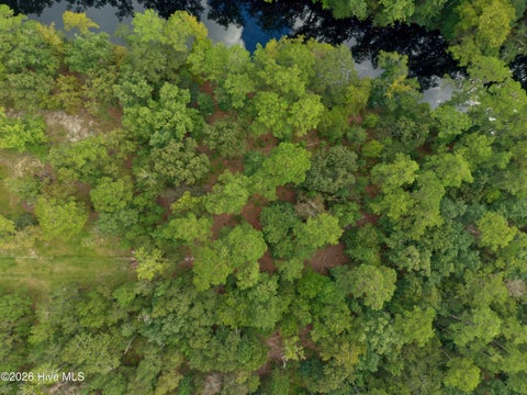 Tiny photo for 33 Shelter Creek Drive, Burgaw, NC 28425 (MLS # 100604530)
