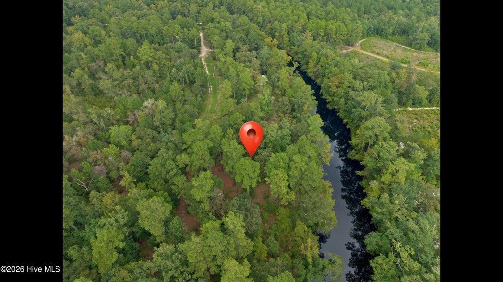 Photo of 33 Shelter Creek Drive, Burgaw, NC 28425 (MLS # 100604530)
