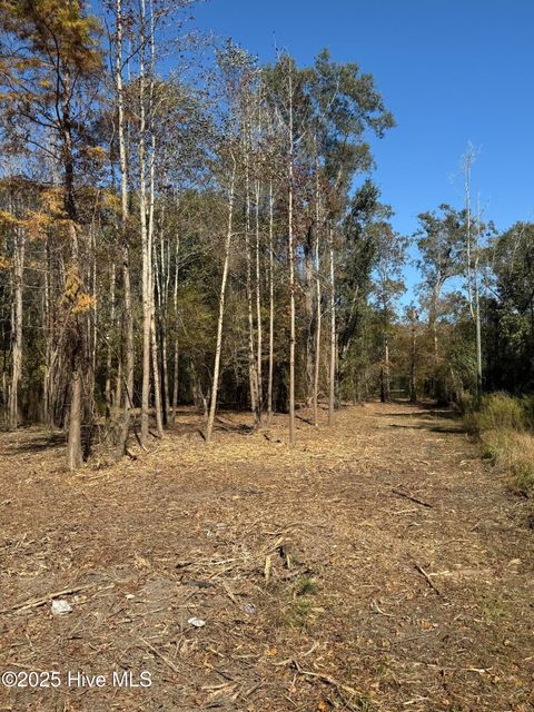 Tiny photo for 1 E Marney Drive, Burgaw, NC 28425 (MLS # 100539107)