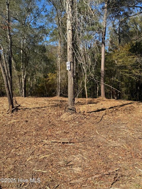 Tiny photo for 1 E Marney Drive, Burgaw, NC 28425 (MLS # 100539107)