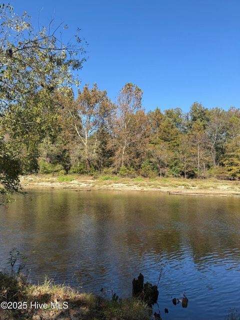 Photo of 1 E Marney Drive, Burgaw, NC 28425 (MLS # 100539107)