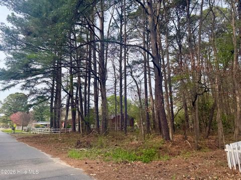 Vacant Land For Sale - 307 Viverette Avenue<br/> Battleboro, NC 27809