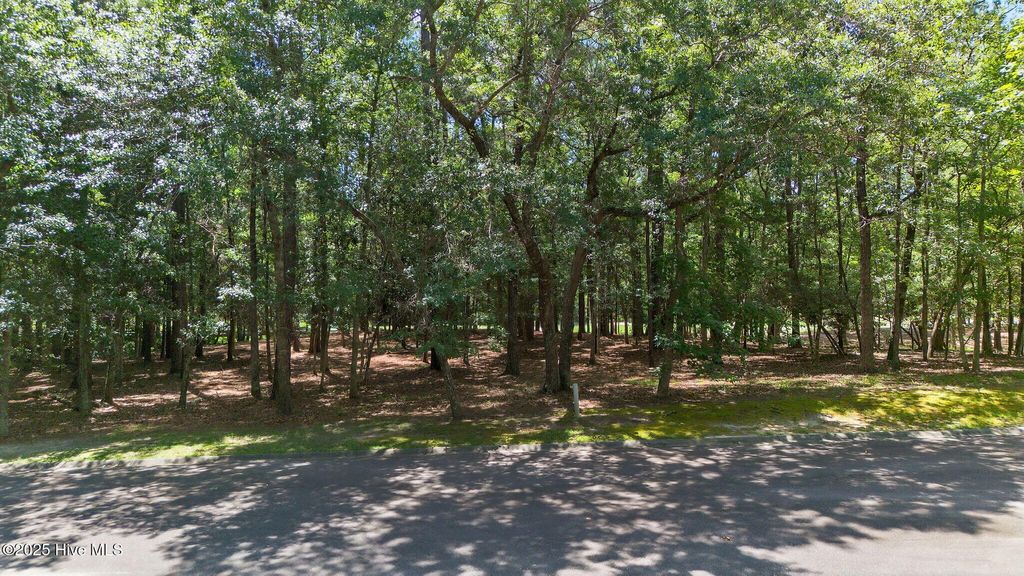 Photo of 3527 Fairway Crest Drive SW, Shallotte, NC 28470 (MLS # 100519533)
