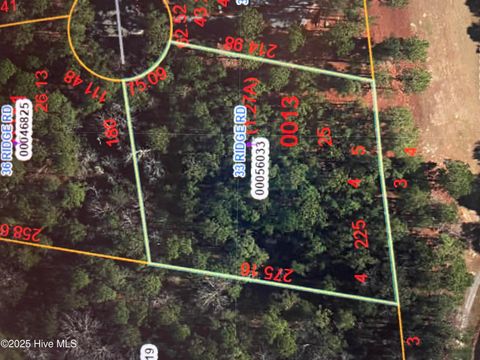Vacant Land For Sale - 33 Ridge Road<br/> Jackson Springs, NC 27281