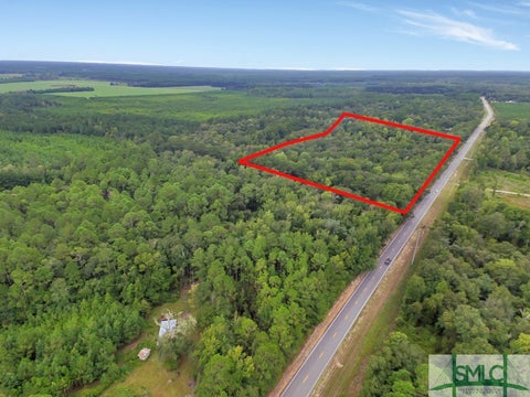 Vacant Land For Sale - Highway 119<br/> Pembroke, GA 31321