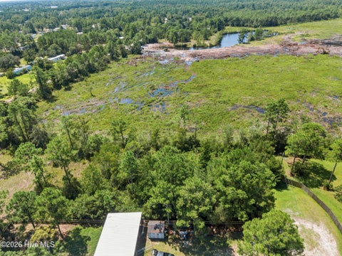 Tiny photo for 16 Doe Ct, Hampstead, NC 28443 (MLS # 100597182)