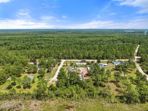 Tiny photo for 16 Doe Ct, Hampstead, NC 28443 (MLS # 100597182)