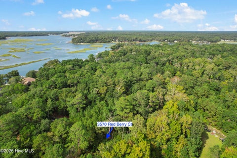 Tiny photo for 3570 Red Berry Court SW, Supply, NC 28462 (MLS # 100606078)