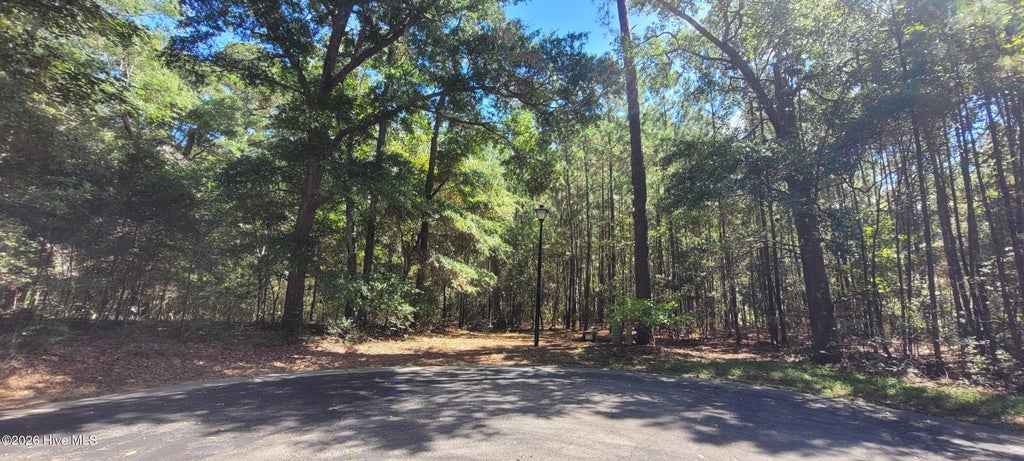 Photo of 3570 Red Berry Court SW, Supply, NC 28462 (MLS # 100606078)