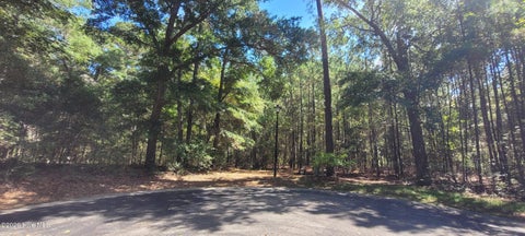 Tiny photo for 3570 Red Berry Court SW, Supply, NC 28462 (MLS # 100606078)